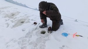 VID_20260108_121721_707