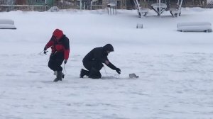 поимка форели на ратлин