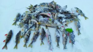 ПЕРВАЯ РЫБАЛКА В 2026.