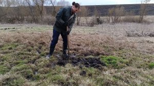 Как посадить фундук и грецкий орех в землю. Осушаю землю. Апрель 12 2025