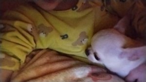 ДЛЯ ВСЕХ**.mp4