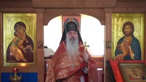 Что уготовал нам Господь. Мы бессмертные существа -  Схиигумен ГАВРИИЛ (Виноградов-Лакербая)