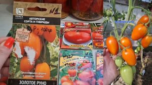Самые лучшие помидоры в 2025 году,которые посажу в 2026 году!!!