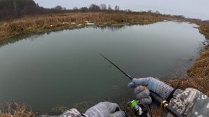 ДА сколько здесь РЫБЫ в этой маленькой РЕЧКЕ_!! Рыбалка весной на спиннинг.