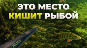 Подвохи о таком ДАЖЕ НЕ МЕЧТАЛИ! Незабываемая охота в Казахстане