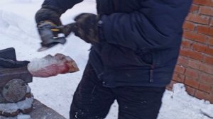 подготовка говяжьих ног без обжига.