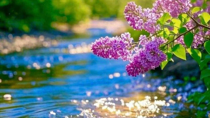 Загляни в мою душу