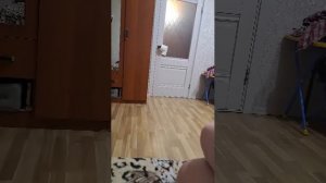 Захожите здесь круто