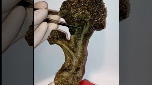 Учёный оживляет еду...