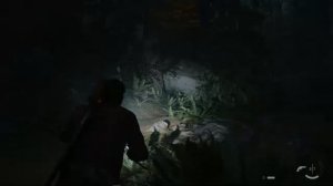 Alan Wake 2 с полной русской локализацией #10 Финал