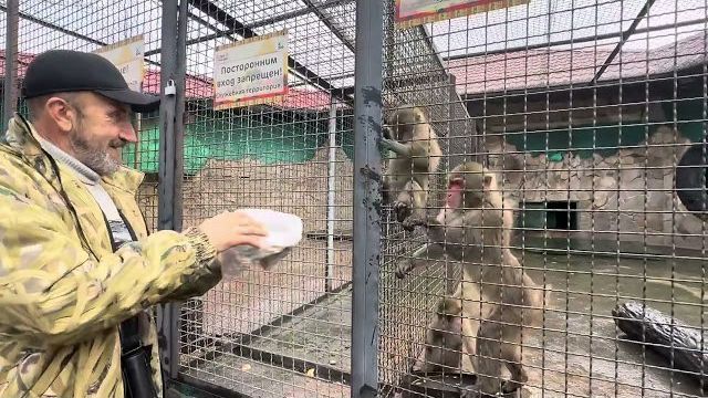 Люся чудит, в еде ковыряется выбирая только вкусняшки, остальное просто выкидывает смотреть онлайн