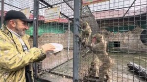 Люся чудит, в еде ковыряется выбирая только вкусняшки, остальное просто выкидывает