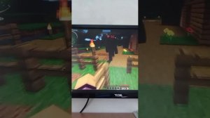 стрим по маинкравт