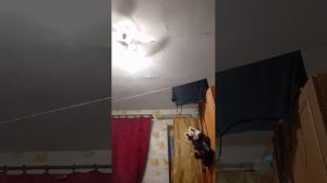 неезвестно