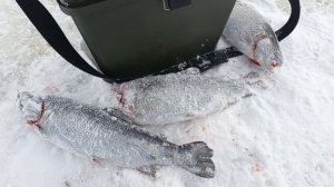 VID_20260108_121832_687