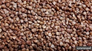 МУКБАНГ : Гречка на завтрак       ХУДЕЕМ  ВМЕСТЕ           ПОДПИШИСЬ