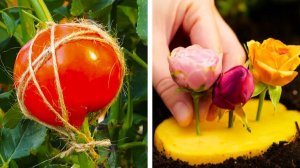 Садовые лайфхаки 🌱 Для каждого любителя растений 🌸