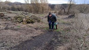 Вожу дрова с моего сада и огорода. Бесплатная мини теплица для рассады