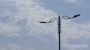 В гостях у дочери.Стамбул.Лето 2025г.Часть1