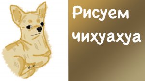 Рисуем чихуахуа🐕