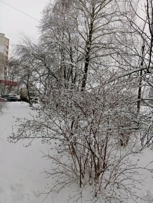 принимаем сегодня мало