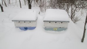 Зимовка пчел на улице в средней полосе