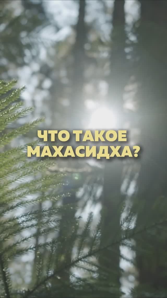 Что такое МАХАСИДХА #пробуждение #осознанность смотреть онлайн