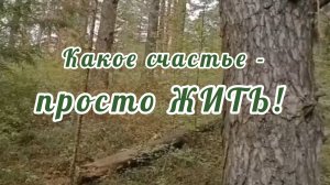 КАКОЕ СЧАСТЬЕ- ПРОСТО ЖИТЬ!