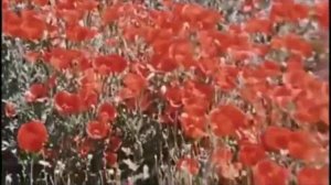 Б.Тулегенова-Вальс о весне..mp4(Клип на песнюиз к/ф"Наш милый доктор")