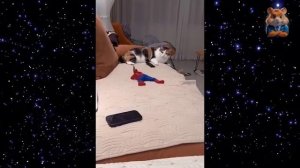 Я РЖАЛ ДО СЛЕЗ😂 15 Минут ОТБОРНЫХ ПРИКОЛОВ 2026 ГОДА Смешные в