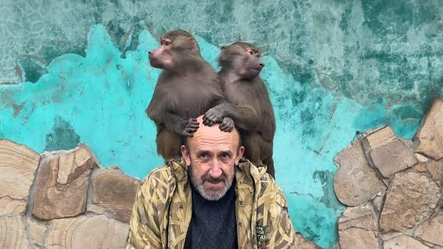 Не возможно смотреть на Люсю и Степу без смеха, их радость не знает границ😄 смотреть онлайн