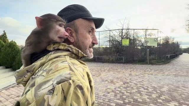 Анфиса идет на встречу к Люсиной банде😂 смотреть онлайн