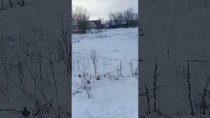 Какого это - быть ИП? 20260108_120612