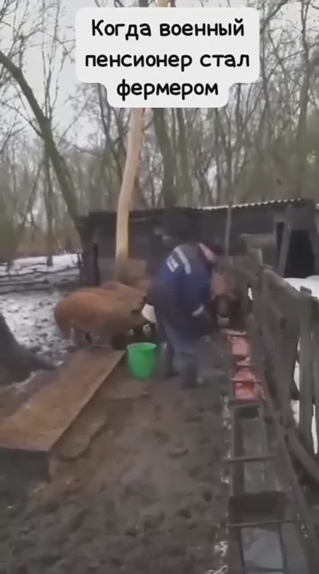 Хохлы в российском плену 🤣 смотреть онлайн