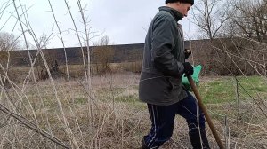 Большой сюрприз в погоде апрель 2025. Посадка фундука и грецкого ореха.