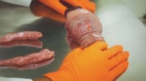 Человек, скоро сможет обновляться.