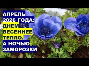 Апрель 2026 года: Днем - Весеннее Тепло, А Ночью - Заморозки!