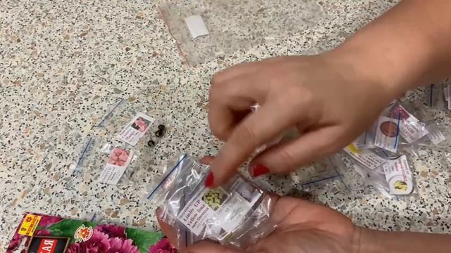 Семена цветов с сайта соло-семена. Январь 2026