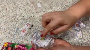 Семена цветов с сайта соло-семена. Январь 2026