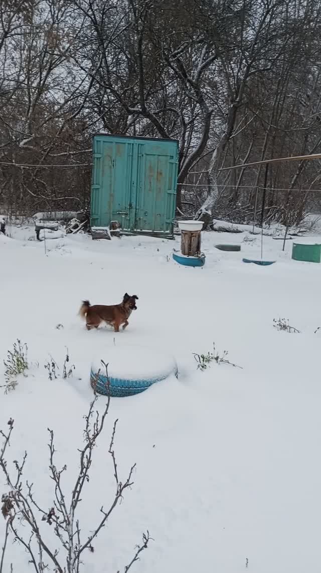 У нас в селе хорошая погода, прогулялись смотреть онлайн