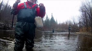 Рыбалка, хариус, горная река.mp4