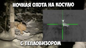Ночная охота с тепловизором на косулю!