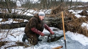 Установка-проверка капканов на бобра / Охота на бобра #49.3