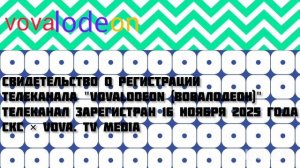 Последнее свидетельство о регистрации телеканала "Vovalodeon"