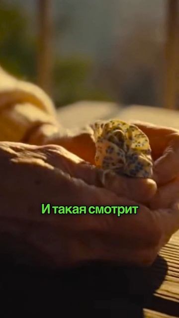 В 90-е у моей бабушки цветы не болели никогда