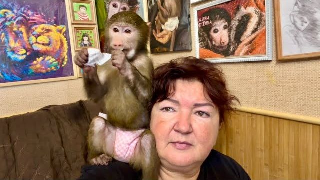 Анфиса такая доставучая, от нее никому не спрятаться не скрыться😁! смотреть онлайн