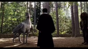 Гарри Поттер и узник азкабана фильм нарезка