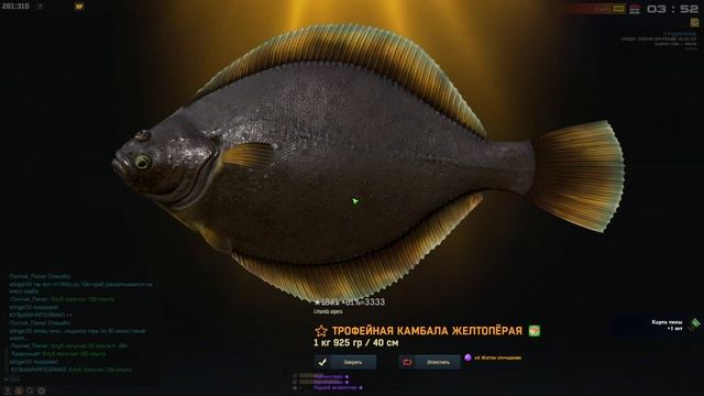 Fisher Online ЧЕЛЮСКИН КАМБАЛА ЖЕЛТОПЁРАЯ С БАЗЫ смотреть онлайн