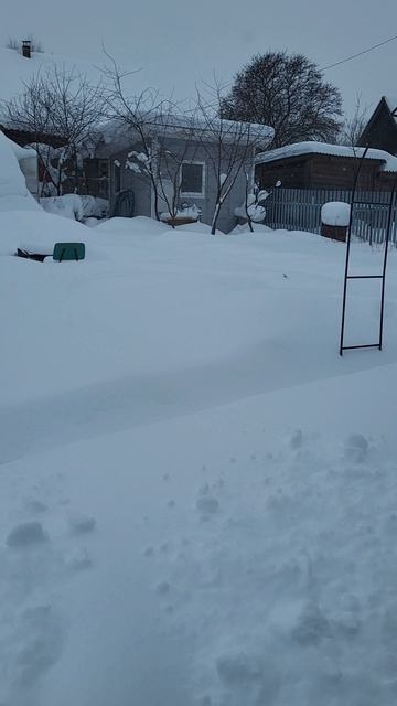 8 января на даче смотреть онлайн