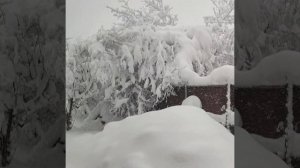 так и есть👍